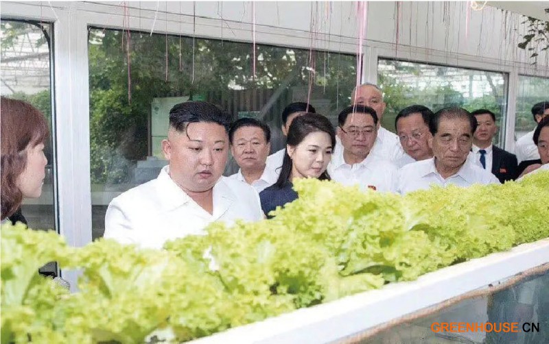 4.朝鮮最高領(lǐng)導人、朝鮮勞動黨總書記金正恩到訪創(chuàng)新園